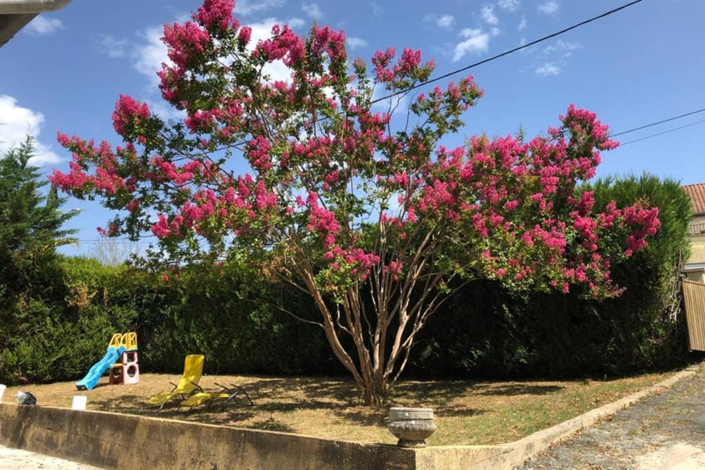 Au Lilas Rose Maison Entre Campagne Et Village Belvès 외부 사진